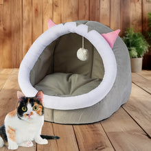 PawCove