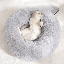 PetNest Lounger