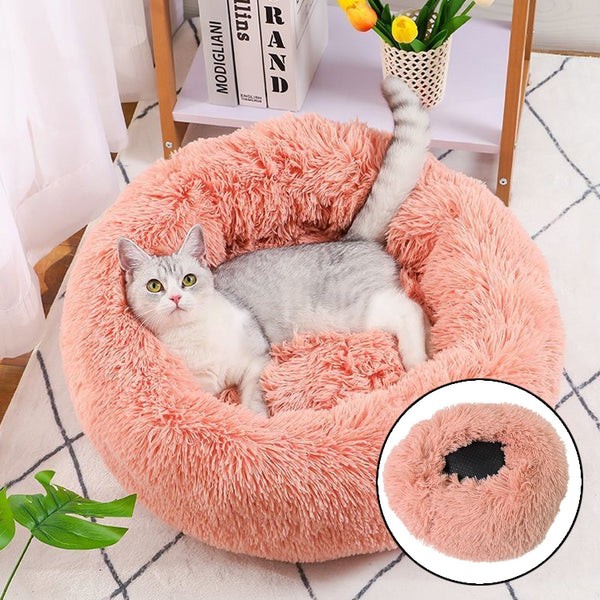 FurFusion Bed